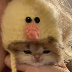 bleed (prod. FrostyTxts)