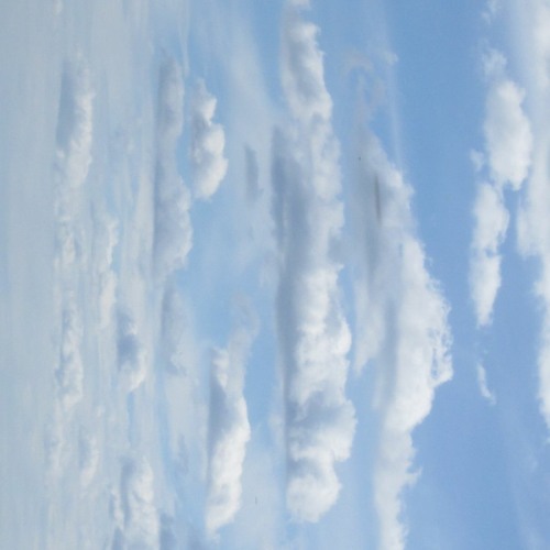 Not I Not I - 21.WAV