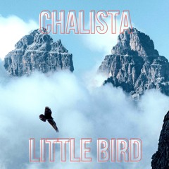 Little Bird (never produced song idea)