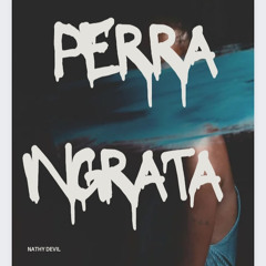 Perra Ingrata