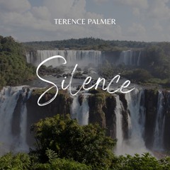 Terence Palmer - Silence (Extendet Mix)