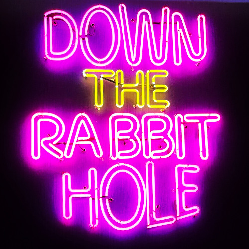 DOWN THE RABBIT HOLE 2010