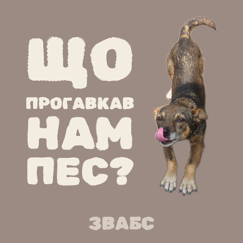 Що прогавкав нам пес?