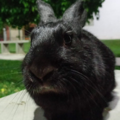 TU MENTE HA DESCANSADO? / maqueta v1