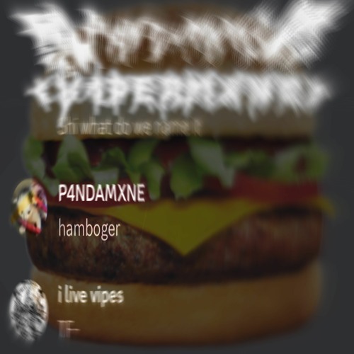 P4NDAMXNE X 90GBX - hamboger