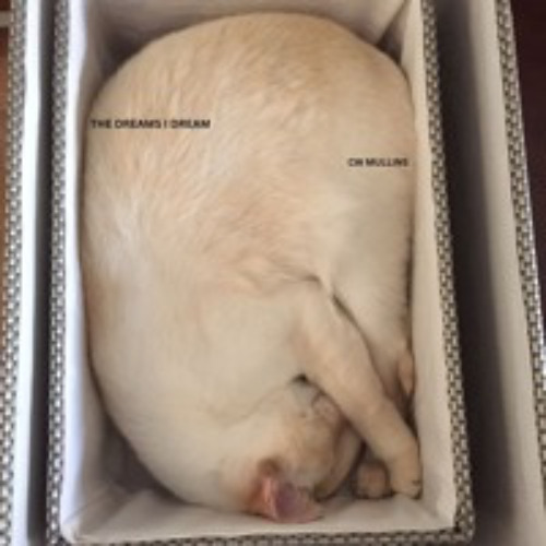 The Dreams I Dream
