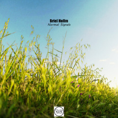 Briel Hollm - Normal Signals (Gabriel Slick Remix)