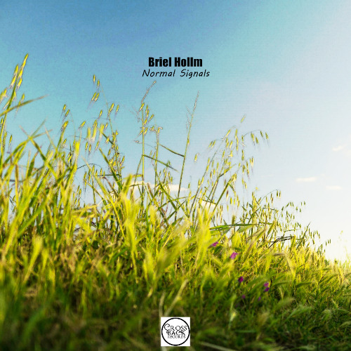 Briel Hollm - Normal Signals (Gabriel Slick Remix)