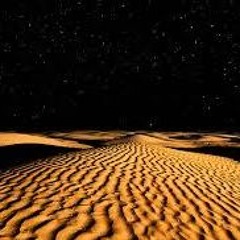 Night Camel Ride