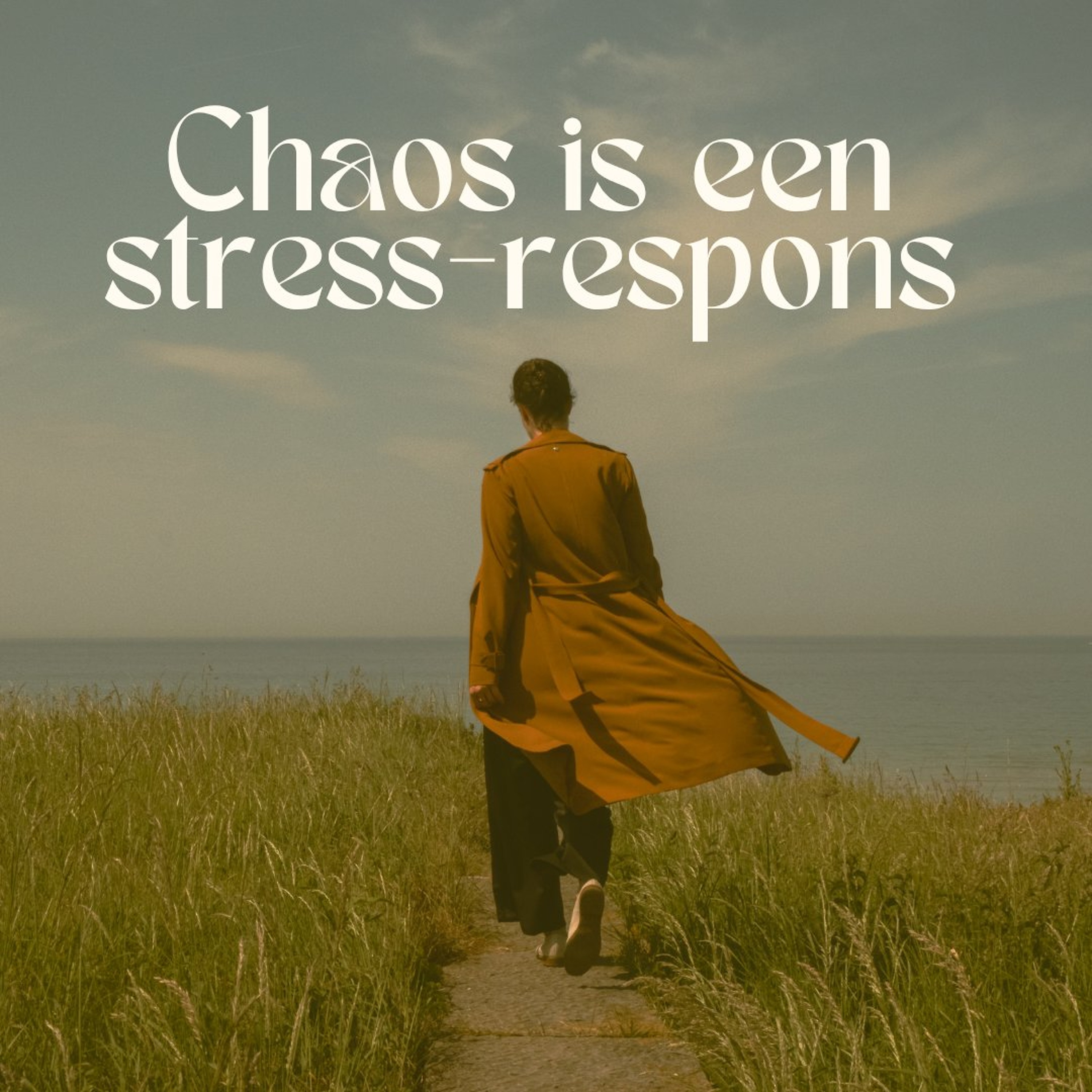 # 77 Chaos is niet je identiteit maar een stress-respons episode artwork