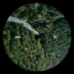 meandering in the jungle - mix 06