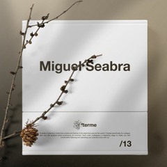 Miguel Seabra [PAM13]