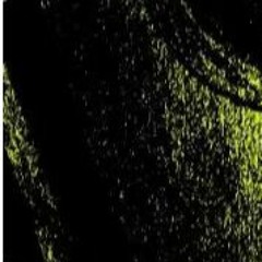 Fatalis B2B Shy Beef-20230204-成双作对 Fight Club Vol.2@OIL