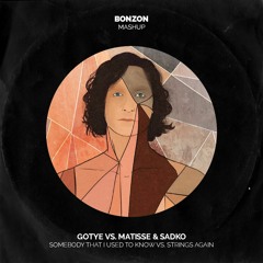Gotye Vs. Matisse & Sadko - Somebody That I Used To Know Vs. Strings Again (BONZON Mashup)