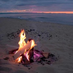 Christmas On The Beach