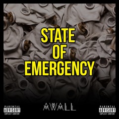 STATE OF EMERGENCY