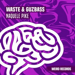 Waste & GuzBass - Pike