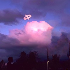 funky chunky hunky monkey