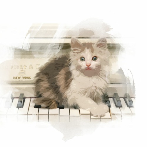 Cat hotsell loves music