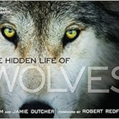 free EPUB 💑 The Hidden Life of Wolves by Jamie Dutcher,Jim Dutcher,Robert Redford [E