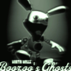 Accept Your Mistakes - Martin Walls (Boozoo’s Ghosts)