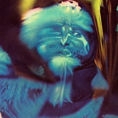 tulipaner (for sale)