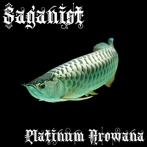 Stream Platinum Arowana by SAGANIST Listen online for free on