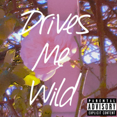 Drives Me Wild