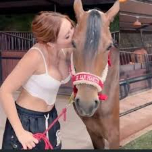 Stream Full Twitter video aida victoria merlano horse & aida victoria merlano con caballo by