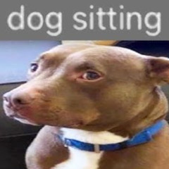 07-10-2025 ¦ FULL PELT