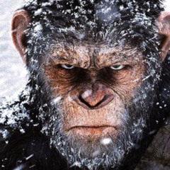 $hitTalk Freestyle - Prod by. Passmethaaux