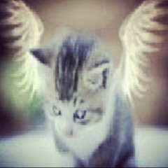 Phonk Remix каждый кто делал тебе больно