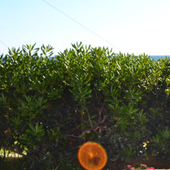 Raw Grooves The Underground Sound