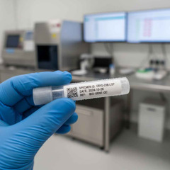 A Engenharia Invisível das Etiquetas Laboratoriais e a Segurança do Paciente