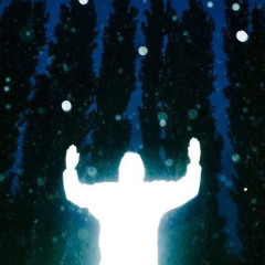 we're flying [p. envyy & xonetreep]