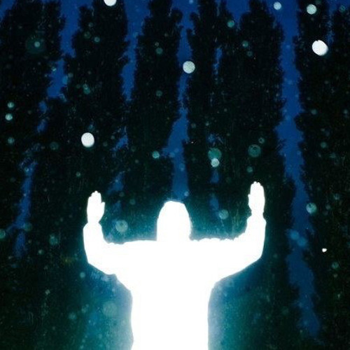 we're flying [p. envyy & xonetreep]