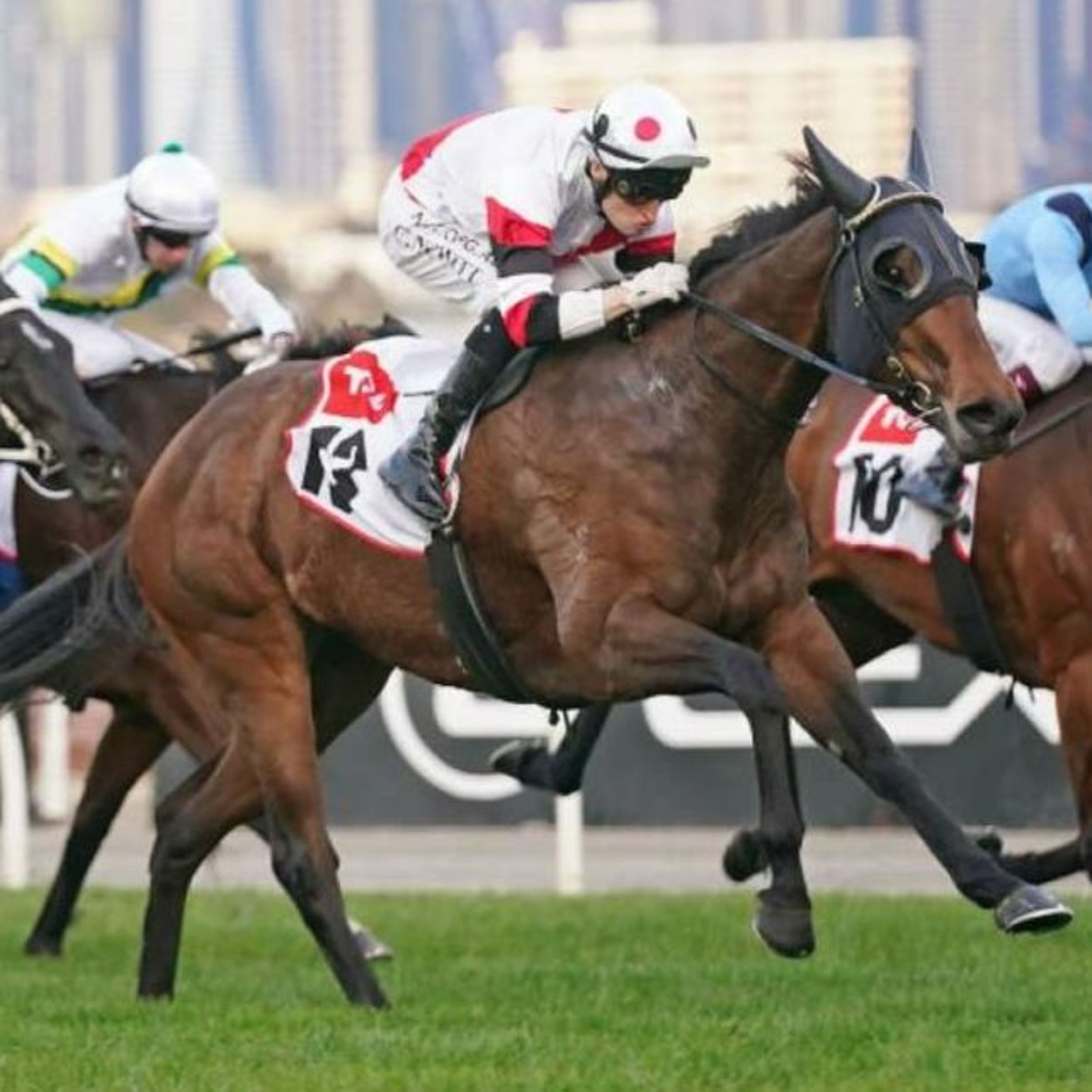 Flemington Cup Day Punting Preview