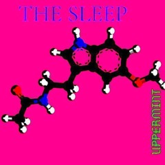 THE SLEEP
