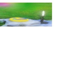 comme des Amber Lewis were sick