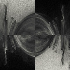 Coronal Loops #3: TUERME