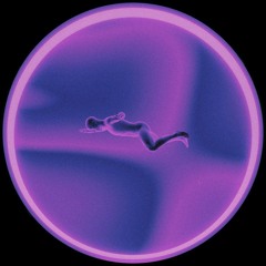 Mrsch & Subit - What Do Robots Dream ?