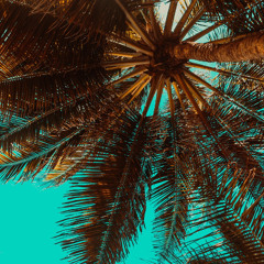 [FREE] Vibey Lil Tecca Type Beat "Summer Vibes" (Prod. FL7)