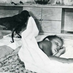 Kendimi Anlamıyom - Azure Wrath, Noise