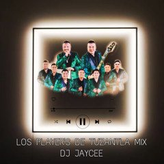 Tierra Caliente Mix 2025 Los Players de Tuzantla Edition - DJ JayCee