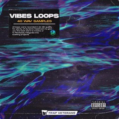 VIBES LOOPS-Sample Pack