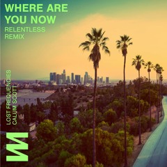 Lost Frequencies ft Calum Scott - Where Are You Now [Relentless Extended Remix]