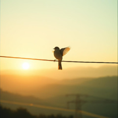 Little bird, big love