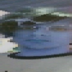 Virgingod* - Minecon Estourado💥