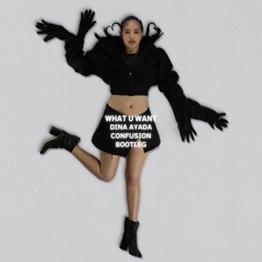 Dina Ayada - What U Want  (Confusion Bootleg)