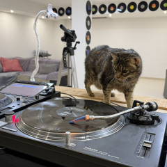ONLY VINYL SET enero 2025